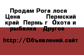 Продам Рога лося › Цена ­ 10 000 - Пермский край, Пермь г. Охота и рыбалка » Другое   